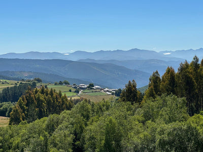 Tour Nr. 260828 Mehrtagestour ab dem 28. August bis 04. September 2026 / PICOS DE EUROPA 2026 (8 Tage)